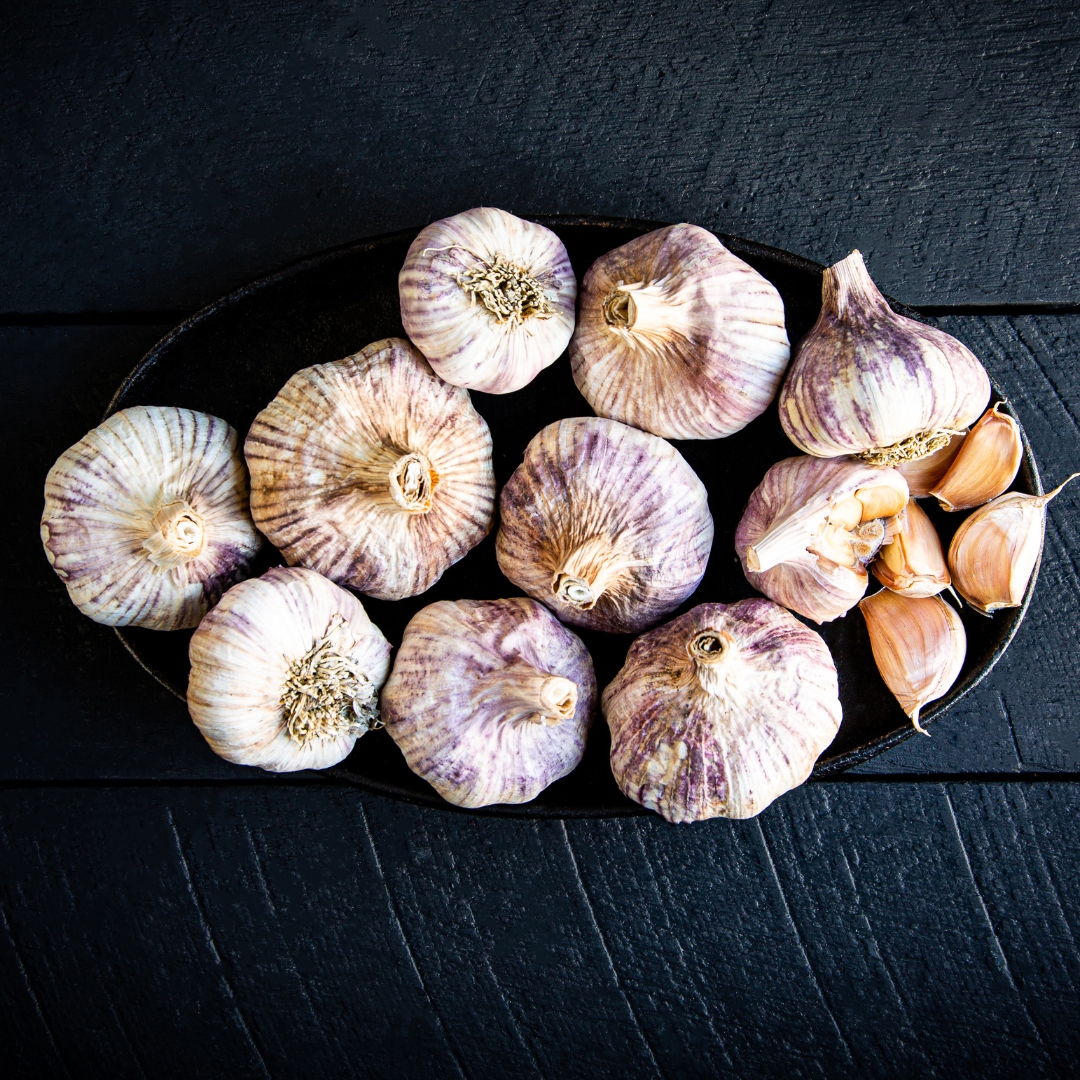 Buy Garlic - NZ Early Purple Online NZ